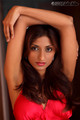 AMP_1477